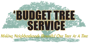 A Budget Tree Service logo