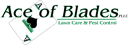 Ace of Blades logo