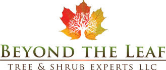 Beyond the Leaf logo