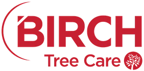 Birch Tree Care logo