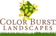 Color Burst Landscapes logo
