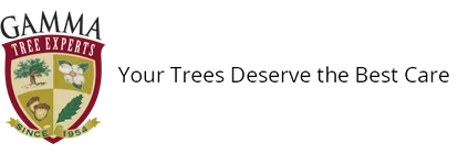 Gamma Tree Experts logo