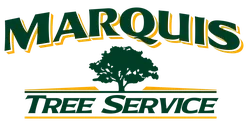 Marquis Tree logo