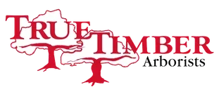 True Timber logo
